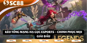 Kèo Tổng Mạng Hạ Gục Esports – Chinh Phục Mọi Giải Đấu